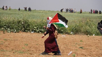 الطائرات الأبابيل