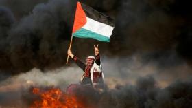 دموع وألم في وداع شهداء غزة