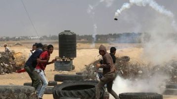 لا يا فقهاء البلاط!