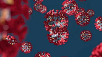 في انتظار المصل الذي يُخرجنا من بيوتنا ولا يمنعنا من مساجدنا !