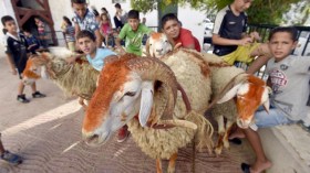 مهاجرون يؤخرون عطلتهم ليشاركوا عائلاتهم الإحتفال بعيد الأضحى