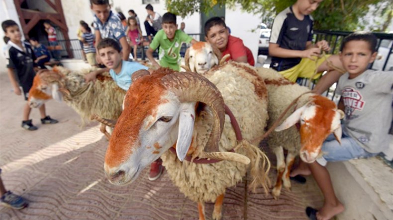 مهاجرون يؤخرون عطلتهم ليشاركوا عائلاتهم الإحتفال بعيد الأضحى