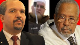 فركوس: ردود الفعل على مقالي مليئة بـ”الافتراءات”