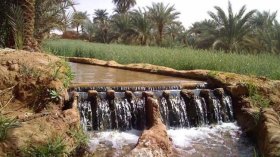 كبرى فقارات أدرار تتعرض للتدمير الممنهج