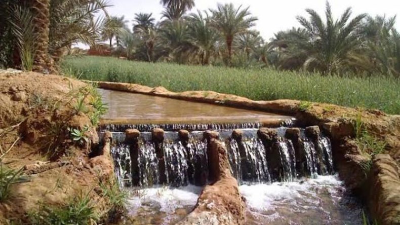 كبرى فقارات أدرار تتعرض للتدمير الممنهج