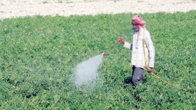 فلاح يحتال على متعامليه بحساب بنكي مغلق!