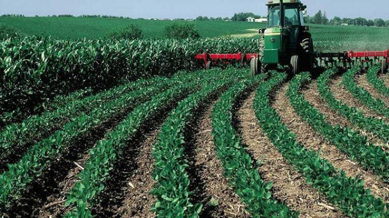 أكثر من 68 ألف هكتار جاهزة لحملة الحرث والبذر هذا الموسم بالبويرة