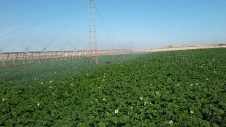 عدة عمليات تحفيزية في محيطات الامتياز الفلاحي بورقلة