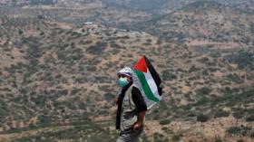 الجزائر مع فلسطين في السّرّاء والضّرّاء