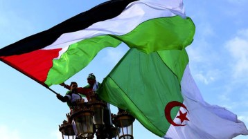 أين موقع فلسطين من الحراك الشعبي؟