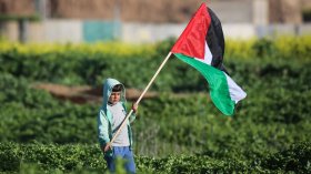 فلسطين في ميزان الجزائر