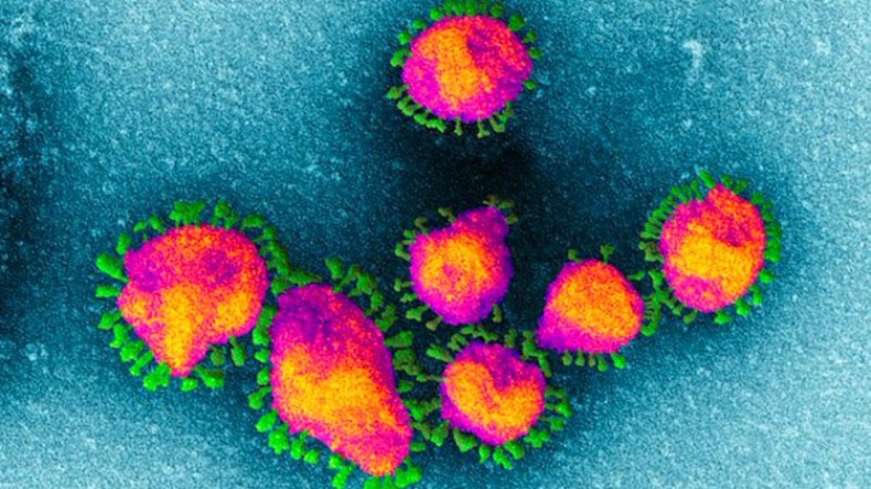 تحذيرات من أوبئة خطيرة ليست ببعيدة