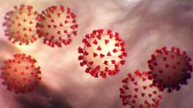 عندما تتحول “الذروة” إلى حلم!