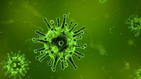 هذا ما نعرفه عن فيروس “نيباه” الذي ظهر في الصين