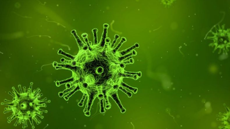 هذا ما نعرفه عن فيروس “نيباه” الذي ظهر في الصين