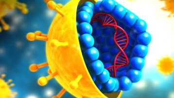 هل كورونا من جند الله؟