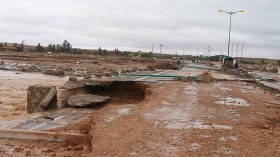 ديوان التطهير بجانت في وضع لا يحسد عليه