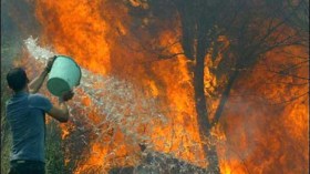 الحرائق تخلّف خسائر فادحة في المنازل والممتلكات والغطاء الغابي في قالمة