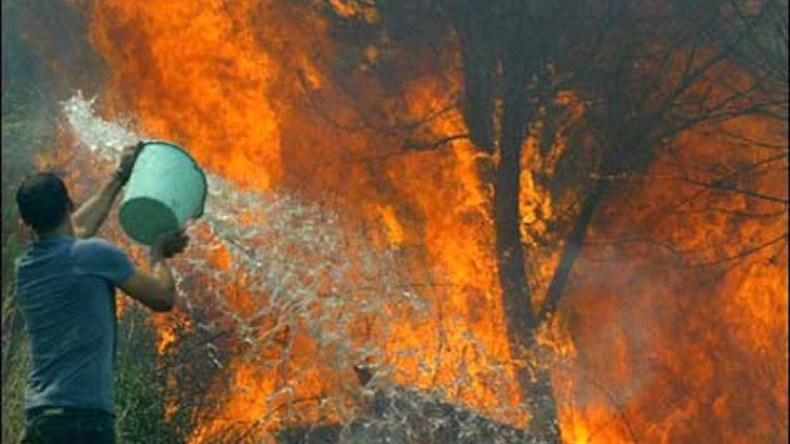الحرائق تخلّف خسائر فادحة في المنازل والممتلكات والغطاء الغابي في قالمة