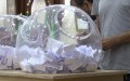 حج 2027.. إجراء القرعة لتحديد القوائم النهائية غداً السبت
