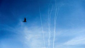 شاهد.. كتائب القسام تطلق صواريخ تجريبية من غزة