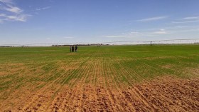 حاميها حراميها!