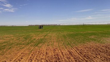 حاميها حراميها!