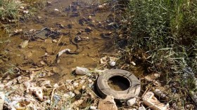 كارثة إيكولوجية وأمراض متنقلة تهدّد السكان بغرداية