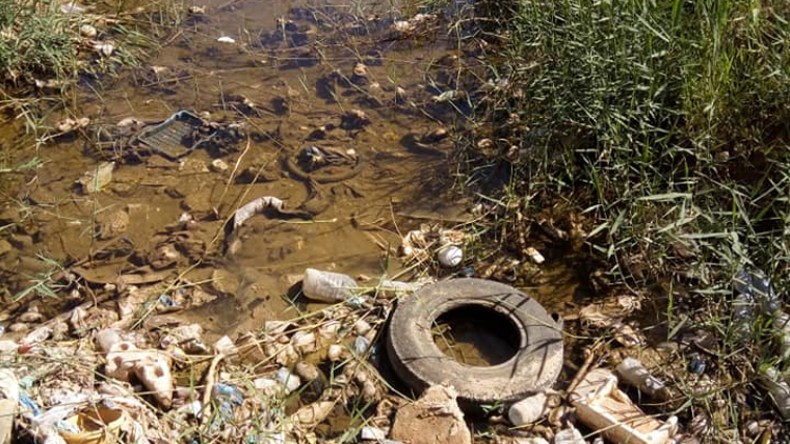 كارثة إيكولوجية وأمراض متنقلة تهدّد السكان بغرداية