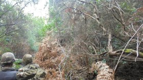 كشف 5 “كازمات” وحجز أسلحة وذخيرة بسكيكدة