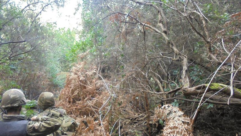 كشف 5 “كازمات” وحجز أسلحة وذخيرة بسكيكدة