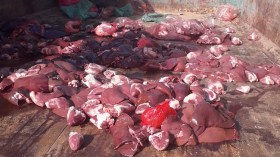 المدية: إحباط محاولة تسويق أكثر من قنطار كبد خروف فاسد