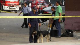 أمريكا توقف إرسال كلاب مدربة للأردن ومصر