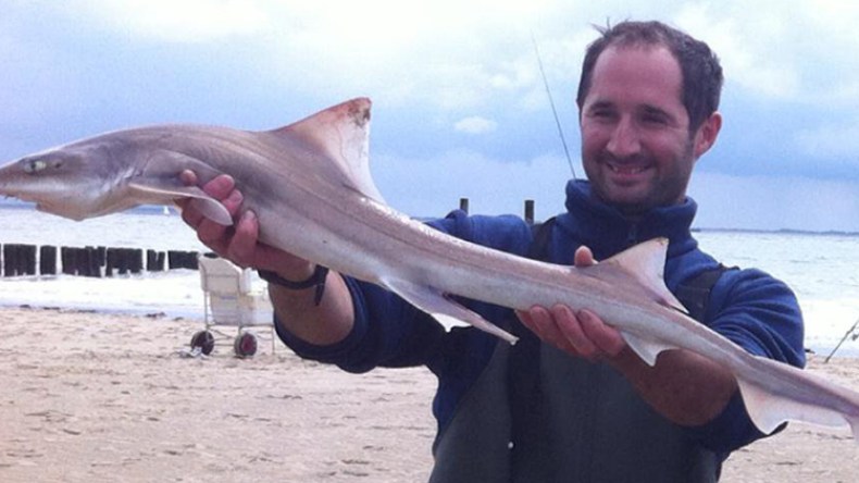 الجزائريون يخلطون بين كلاب البحر والقروش