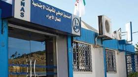 انتساب أفراد الجالية بالخارج إلى نظام التقاعد الوطني.. الكناس يُوضح