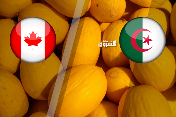 “Fake News” About Drugs On Shipment Of Fruits And Vegetables From Algeria To Canada