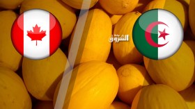 “بلاغ كاذب” حول المخدرات ضد شحنة خضر وفواكه جزائرية بكندا!