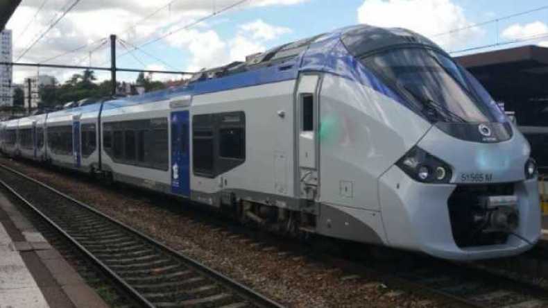 استقبال شعبي ورسمي لقطار “كوراديا” بتقرت