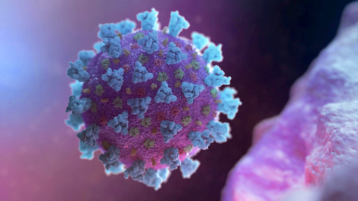 هل في زمن كورونا عيد؟