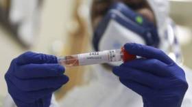 الحجر الربّاني