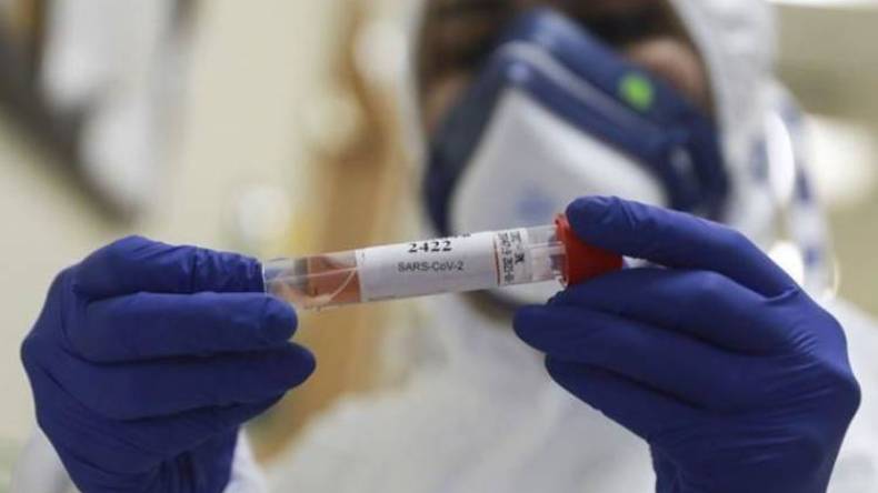 الاستثمار في كورونا!