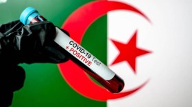 قائمة 12 ولاية خالية من إصابات كورونا