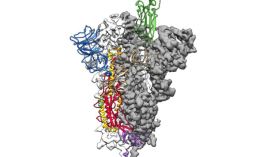 بدء تجارب سريرية أوروبية على علاجات محتملة لكورونا