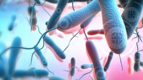 الكوليرا تهّزم الحكومة!