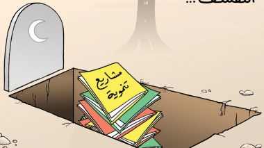 مشاريع تنموية