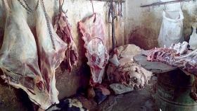 درك زلفانة يحجز كمية معتبرة من لحوم الأغنام مذبوحة بطريقة غير صحية 