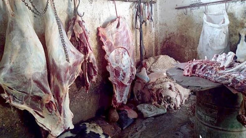 درك زلفانة يحجز كمية معتبرة من لحوم الأغنام مذبوحة بطريقة غير صحية 