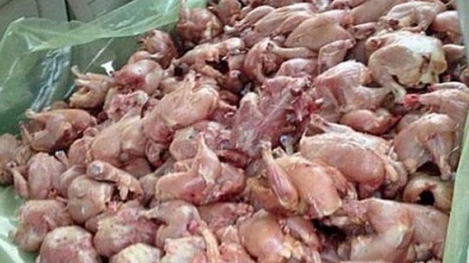 حجز طنين من اللحوم البيضاء الفاسدة ببسكرة