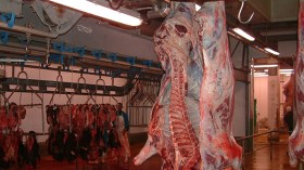 حجز أزيد من طن من المواد “المشكوك في مصدرها” بالمدية