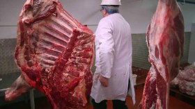 هكذا تفجرت فضيحة لحوم الأحصنة الفاسدة